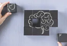 Cerebro tiene interruptor para apagar la conciencia, confirma estudio Cerebro tiene interruptor para apagar la conciencia, confirma estudio