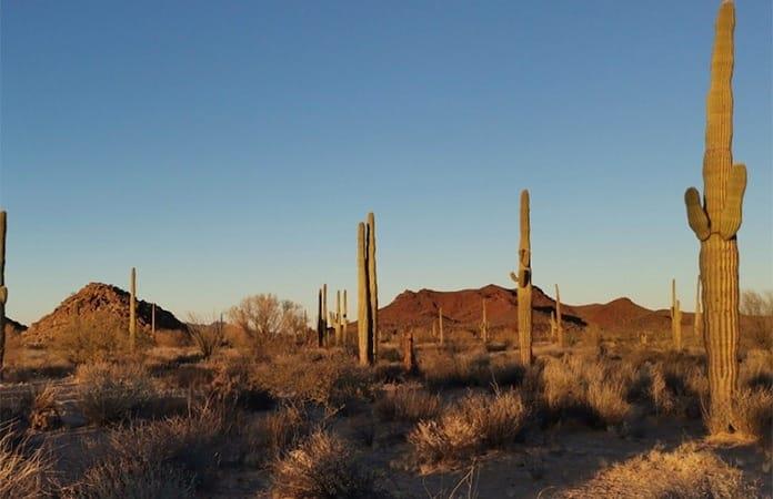 Foto: Ejido El Bajío