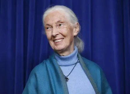 Jane Goodall muere a los 91 años tras vida dedicada a los chimpancés