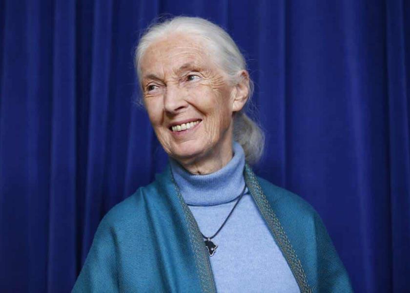 Jane Goodall / Foto: AP
