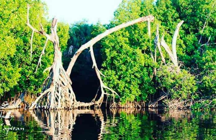 Foto: @lagunamanialtepec