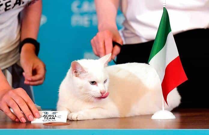 Foto: AP