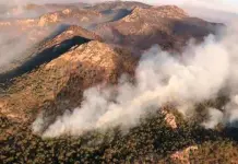 Consecuencias de los recortes presupuestales en la lucha contra incendios