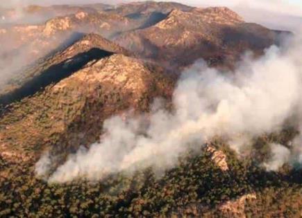 Llamado a la Acción ante los Incendios Forestales en México
