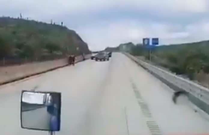 Asaltos y desapariciones se han registrado en ese tramo en los últimos meses / Foto: Especial