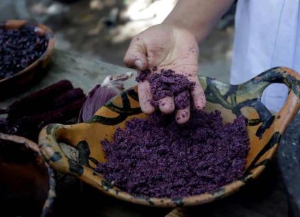 Propiedades Medicinales de la Chicha Morada