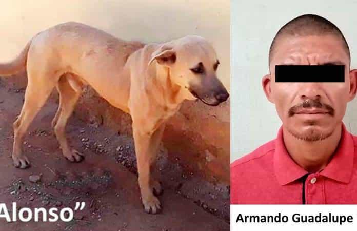 Foto: Fiscalía General de Justicia del Estado de Sonora