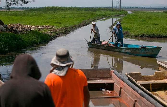 El lago de Cuitzeo en Michoacán está en un bajo nivel / Foto: EFE