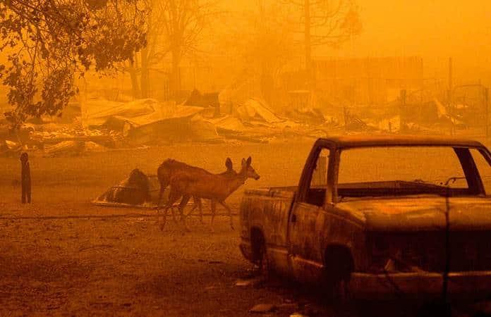 Foto: AP