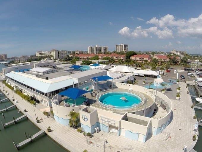 Foto: Clearwater Marine Aquarium de Florida