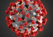 Pol&eacute;mica sobre transparencia en el origen del virus covid-19