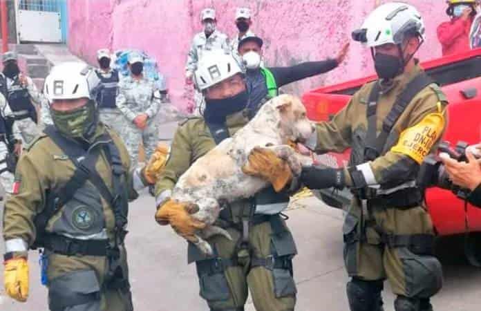 Foto: Tomada de El Universal