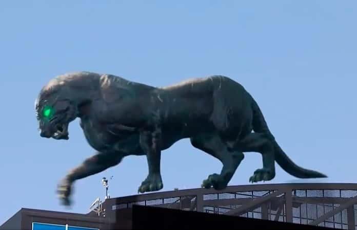 Foto extraída del video