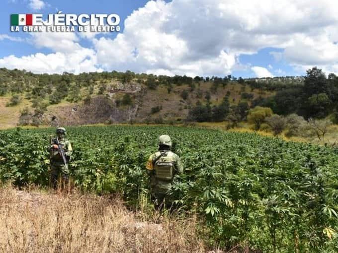 Foto: Secretaría de la Defensa Nacional