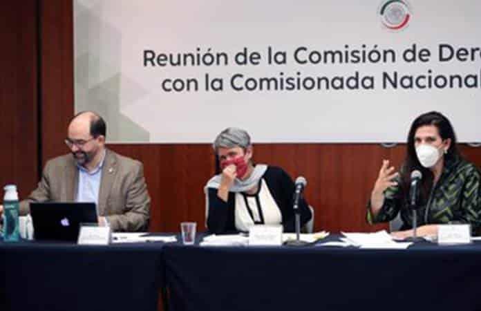 Foto: Senado de México