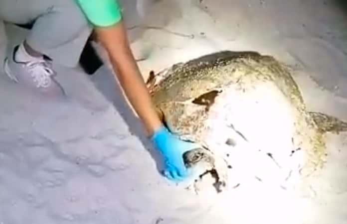 Foto extraída del video