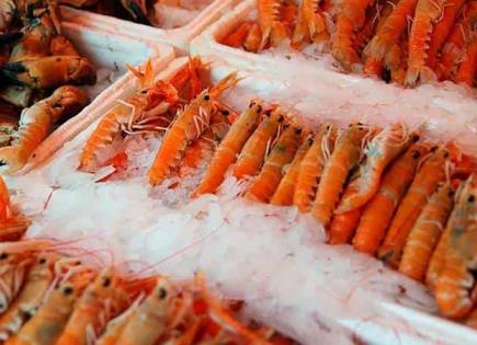 Acuicultores de camarón se manifiestan en Mazatlán
