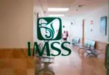 IMSS va por primeros 12 Centros de Educación y Cuidado infantil