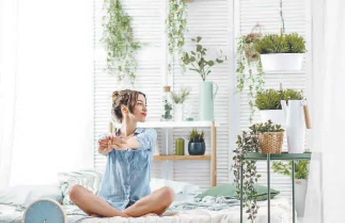 Cinco plantas que ahuyentan mosquitos y mejoran espacios en M&eacute;xico