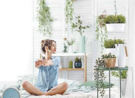 Cinco plantas que ahuyentan mosquitos y mejoran espacios en M&eacute;xico