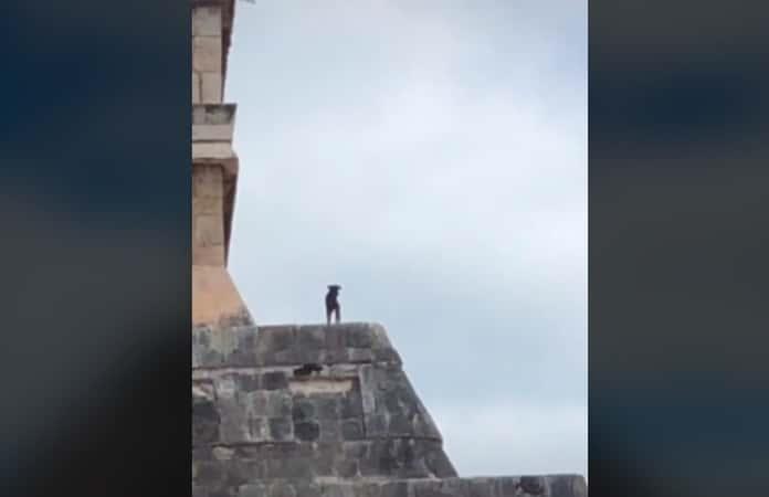 Foto extraída del video