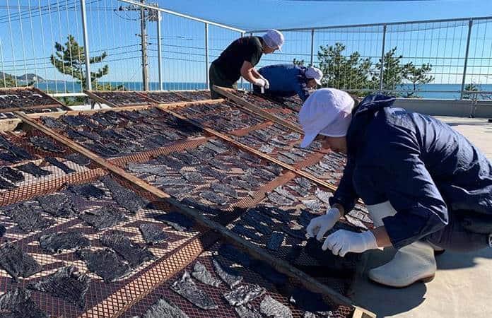 Una planta de procesamiento de carne de ballena en Japón / Foto: EFE
