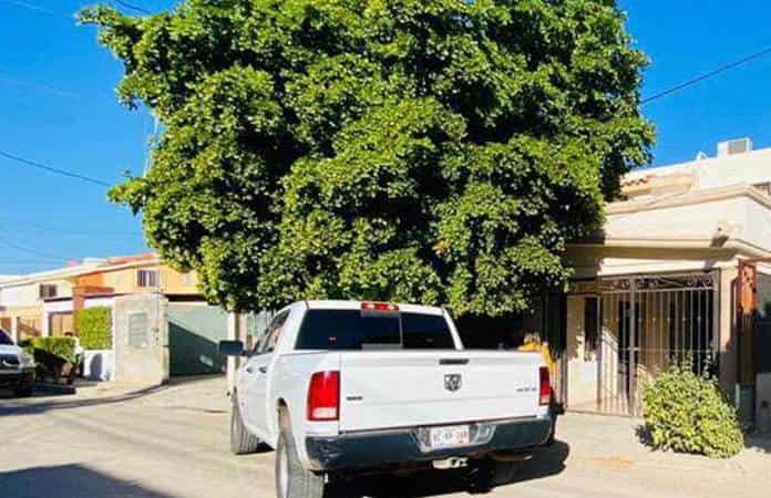 Foto: iscalía General de Justicia del Estado de Sonora