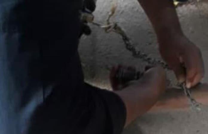 Foto: Secretaría de Seguridad Pública del Estado de Sinaloa