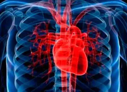 Gen cardioprotector reactiva tejido cardíaco dañado tras infarto