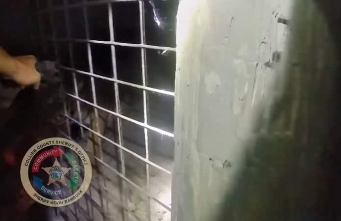 Foto extraída del video