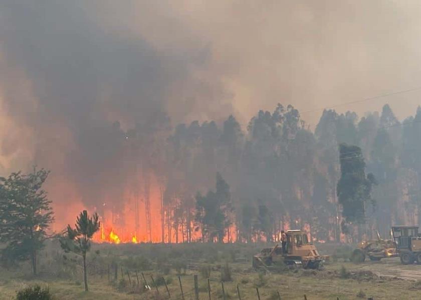 Fotografía de archivo del Departamento de Prensa de la Intendencia de Paysandú, Uruguay, que muestra el incendio en esa provincia (EFE/Prensa Intendencia de Paysandú).