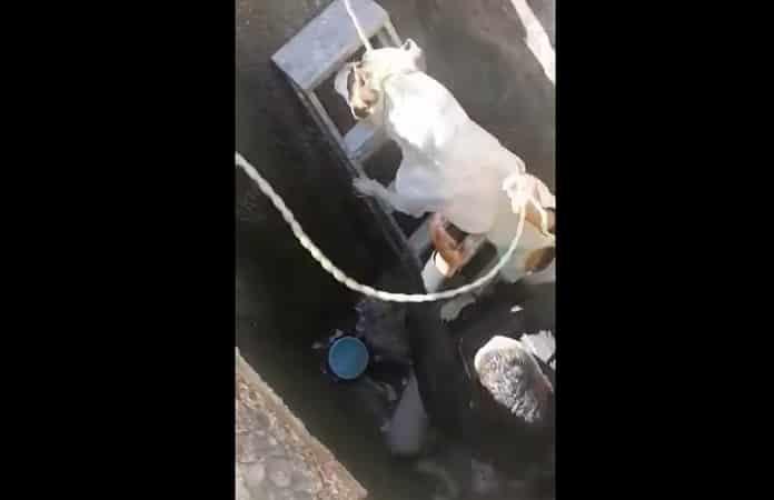 Foto extraída del video