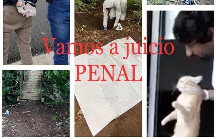 Foto: Federación Canina de Costa Rica ACAN