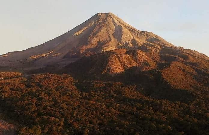 Foto: Cervecería de Colima