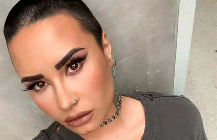 Reencuentro emocionante: Demi Lovato y Jonas Brothers reviven Camp Rock