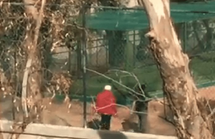 Foto extraída del video