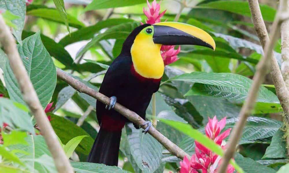 Foto: Prefectura de Pichincha