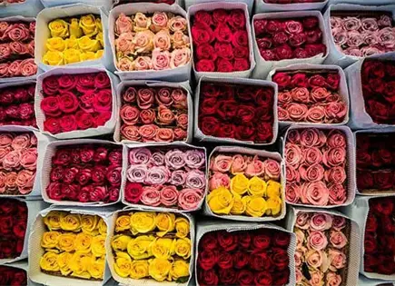 Emiten recomendaciones para evitar fraudes en San Valent&iacute;n