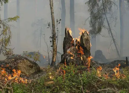 Situación de los Incendios forestales en Puebla en 2025
