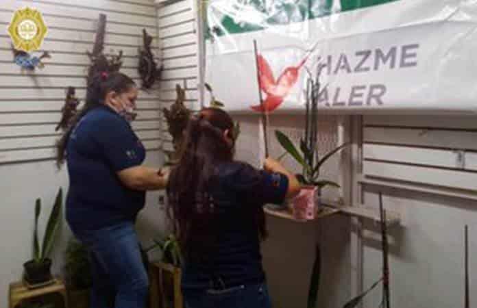 Foto: Secretaría de Seguridad Ciudadana de la Ciudad de México