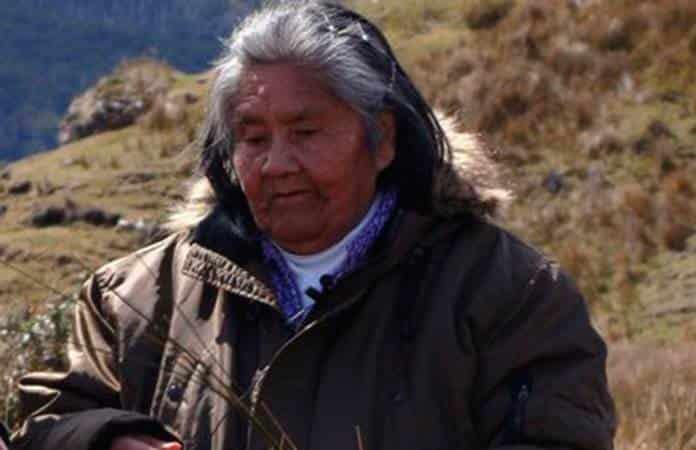 Foto: Promoción y Desarrollo de la Mujer