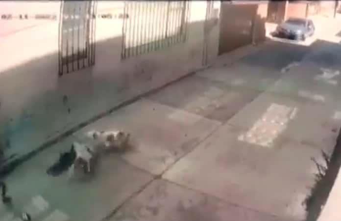 Foto extraída del video