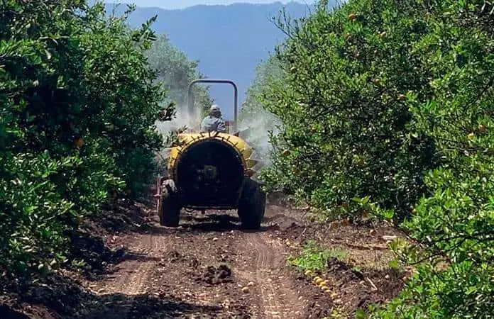 Prohíbe México uso de 35 plaguicidas para agricultura más segura