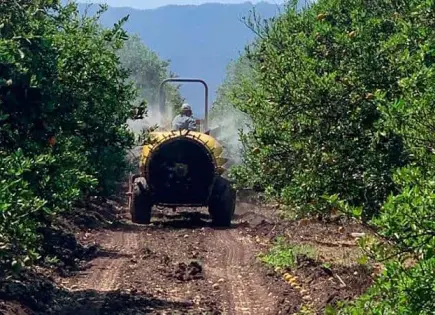 Prohíbe México uso de 35 plaguicidas para agricultura más segura