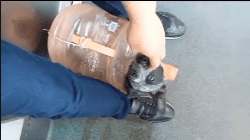 captura tomada del video