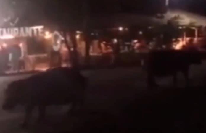 Foto extraída del video