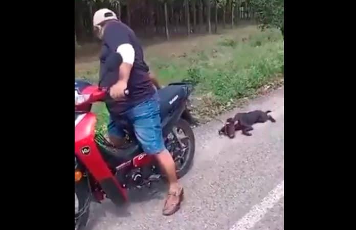 Foto extraída del video