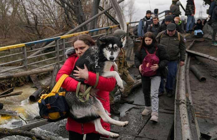 Personas abandonan la ciudad de Irpin, Ucrania / Foto: AP