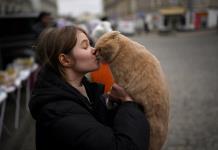 ¿CURP para mascotas? Te decimos para qué sirve y cómo obtenerlo