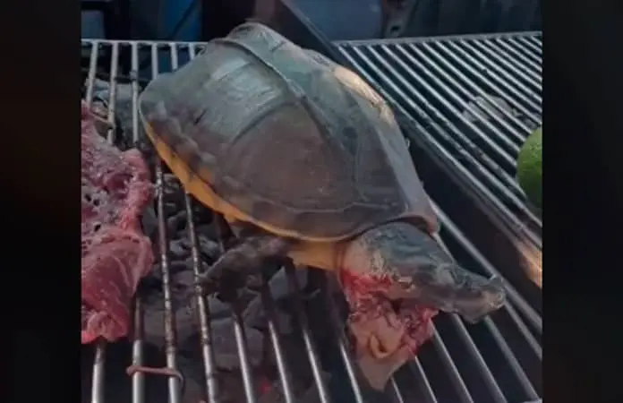 Foto extraída del video